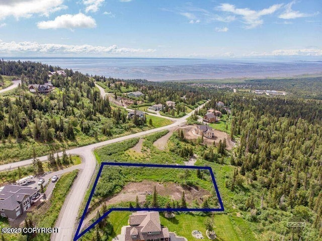 16074 Mountain Air Dr, Anchorage, AK 99516 - view of property location featuring property parcel outlined and a heavily wooded area