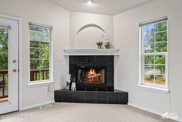 2578 Glacier St # 8, Anchorage, AK 99508 - detailed view of carpet floors and a tile fireplace