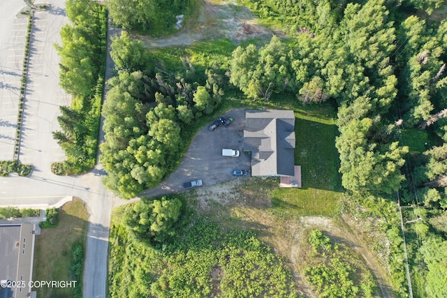 12241 Gander St, Anchorage, AK 99516 - photo 65