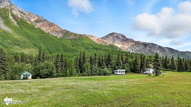 19948 W Glenn Hwy, Chickaloon, AK 99674 - photo 14