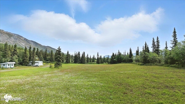19948 W Glenn Hwy, Chickaloon, AK 99674 - photo 15