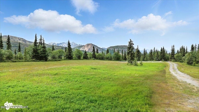 19948 W Glenn Hwy, Chickaloon, AK 99674 - photo 18