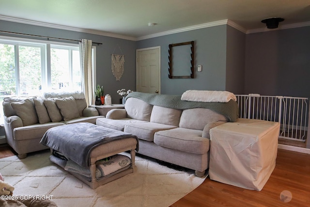 1468 Davison Rd, North Pole, AK 99705 - living area featuring wood finished floors and crown molding