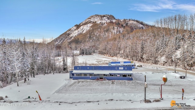 property view of mountains featuring a forest view