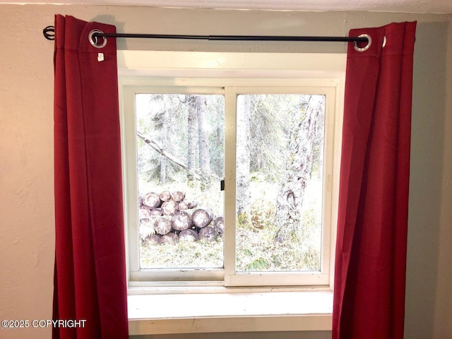 52899 Kingery Rd, Nikiski/North Kenai, AK 99611 - view of interior details