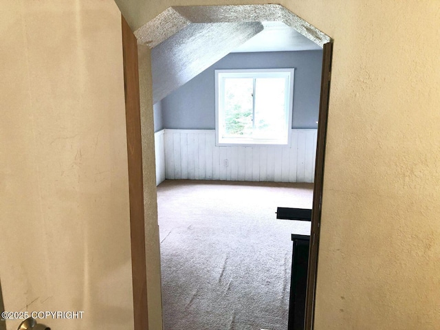 52899 Kingery Rd, Nikiski/North Kenai, AK 99611 - additional living space with a textured wall, vaulted ceiling, a wainscoted wall, carpet floors, and wooden walls