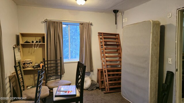 52899 Kingery Rd, Nikiski/North Kenai, AK 99611 - carpeted bedroom featuring multiple windows