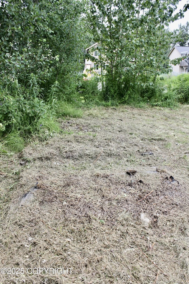 435 N Chugach St, Palmer, AK 99645 - view of yard