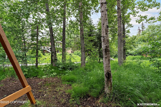 19111 Sarichef Loop, Eagle River, AK 99577 - view of local wilderness