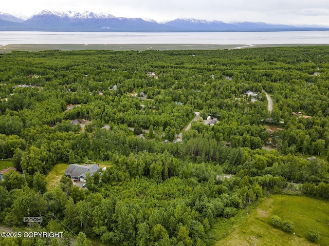 6917 Bogle Bluff Dr, Wasilla, AK 99623 - photo 2