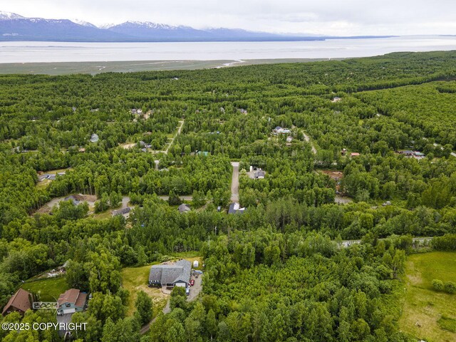 6917 Bogle Bluff Dr, Wasilla, AK 99623 - photo 3