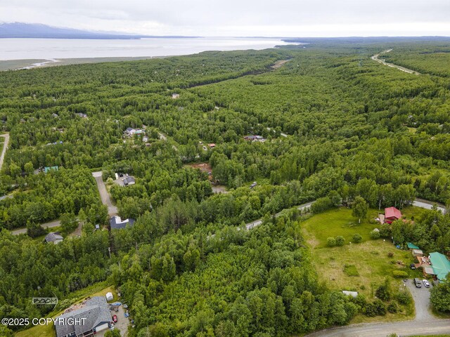 6917 Bogle Bluff Dr, Wasilla, AK 99623 - photo 4