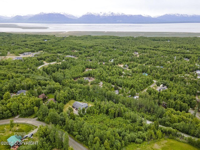 6917 Bogle Bluff Dr, Wasilla, AK 99623 - photo 5