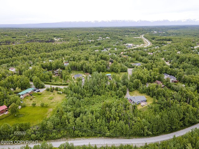 6917 Bogle Bluff Dr, Wasilla, AK 99623 - photo 6