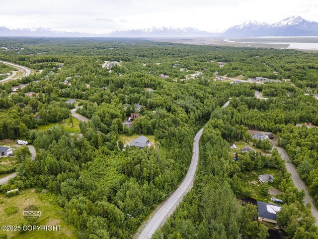 6917 Bogle Bluff Dr, Wasilla, AK 99623 - photo 7