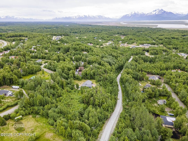 6917 Bogle Bluff Dr, Wasilla, AK 99623 - photo 1