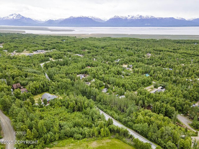 6917 Bogle Bluff Dr, Wasilla, AK 99623 - photo 8