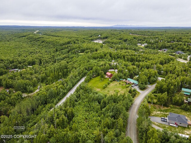 6917 Bogle Bluff Dr, Wasilla, AK 99623 - photo 9