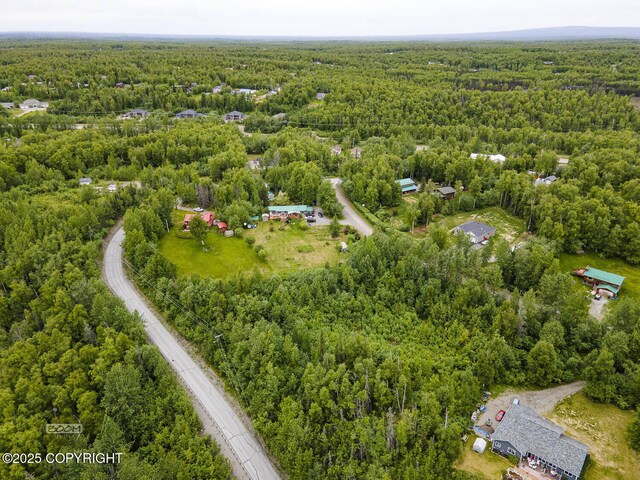 6917 Bogle Bluff Dr, Wasilla, AK 99623 - photo 11