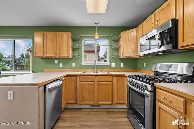 8041 Northwind Ave, Anchorage, AK 99504 - kitchen featuring appliances with stainless steel finishes, a sink, light wood-style flooring, and light countertops