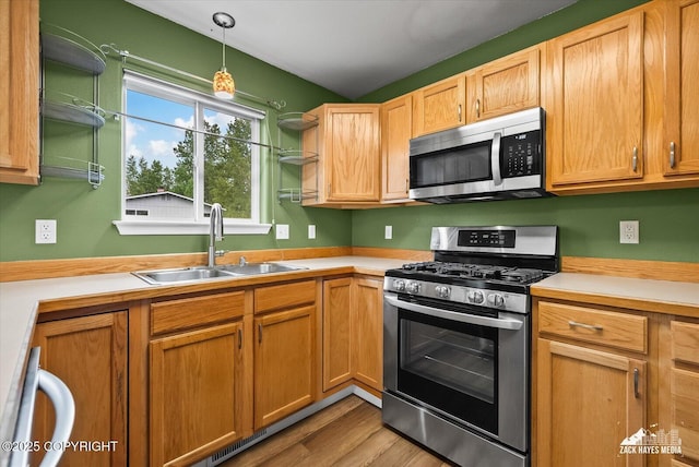 8041 Northwind Ave, Anchorage, AK 99504 - kitchen featuring stainless steel appliances, a sink, light countertops, and wood finished floors