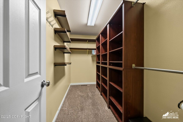 8041 Northwind Ave, Anchorage, AK 99504 - walk in closet with carpet floors