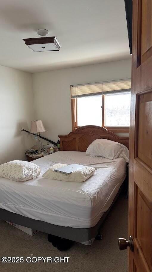 45710 King Dr, Soldotna, AK 99669 - photo 20