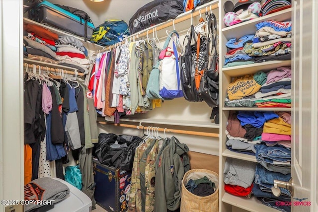 view of spacious closet