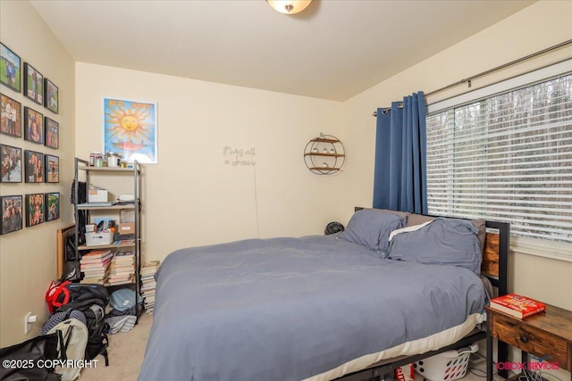 bedroom with carpet