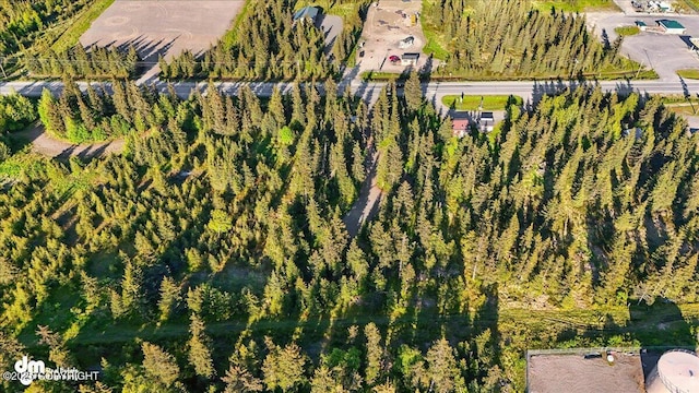 33175 Sterling Hwy, Anchor Point, AK 99556