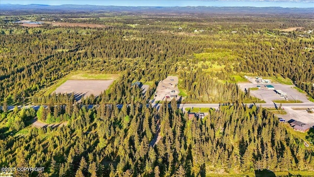 33175 Sterling Hwy, Anchor Point, AK 99556