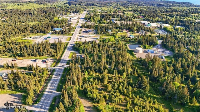 33175 Sterling Hwy, Anchor Point, AK 99556