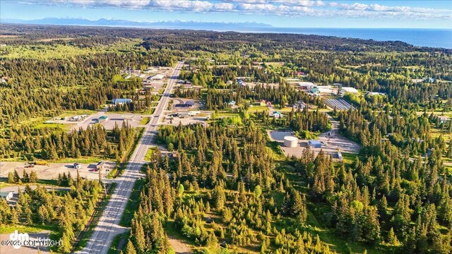 33175 Sterling Hwy, Anchor Point, AK 99556