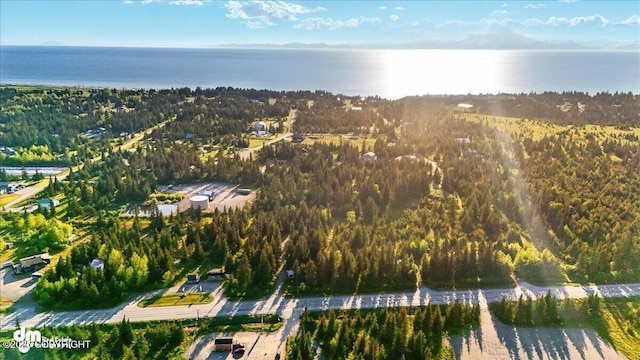 33175 Sterling Hwy, Anchor Point, AK 99556