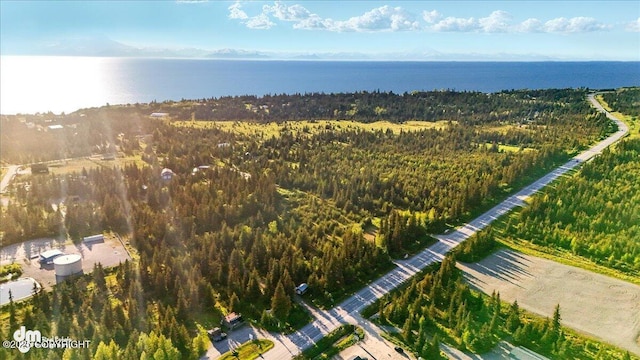 33175 Sterling Hwy, Anchor Point, AK 99556