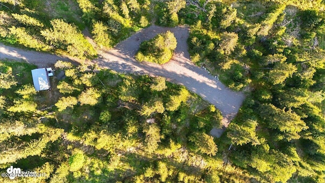 33175 Sterling Hwy, Anchor Point, AK 99556