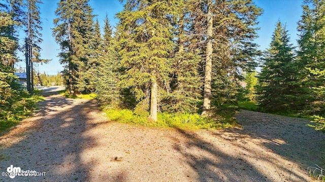 33175 Sterling Hwy, Anchor Point, AK 99556