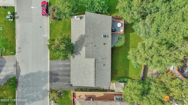 bird's eye view