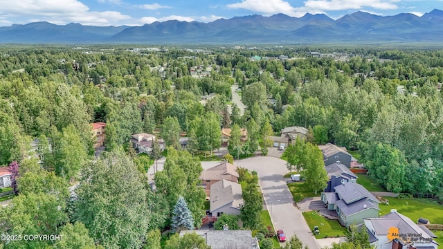 drone / aerial view featuring a mountain view and a forest view