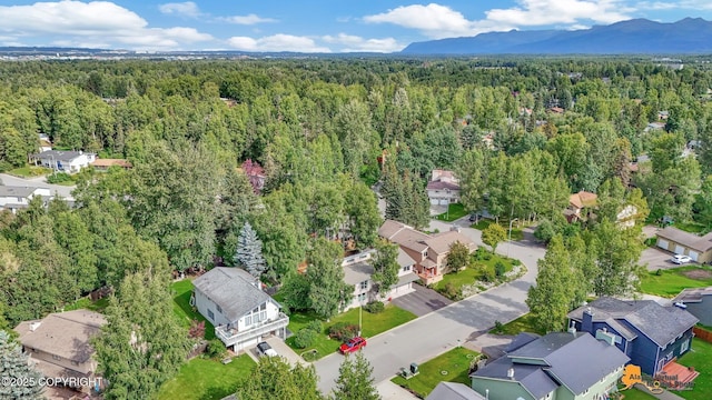 birds eye view of property featuring a residential view, a view of trees, and a mountain view