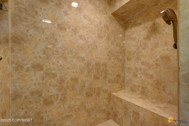 room details with a tile shower