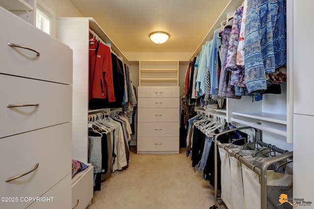 spacious closet featuring light colored carpet