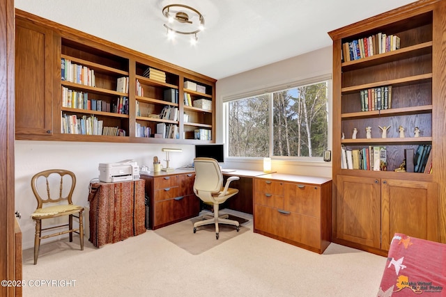 office space with light colored carpet