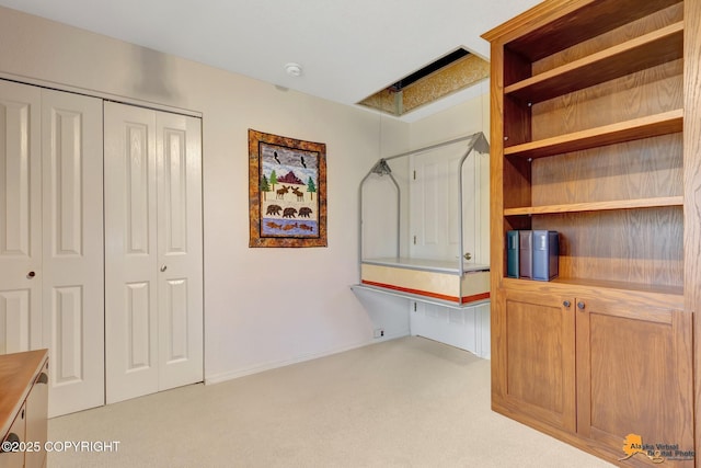 mudroom featuring carpet floors