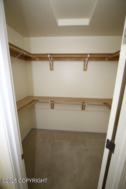 spacious closet with carpet flooring