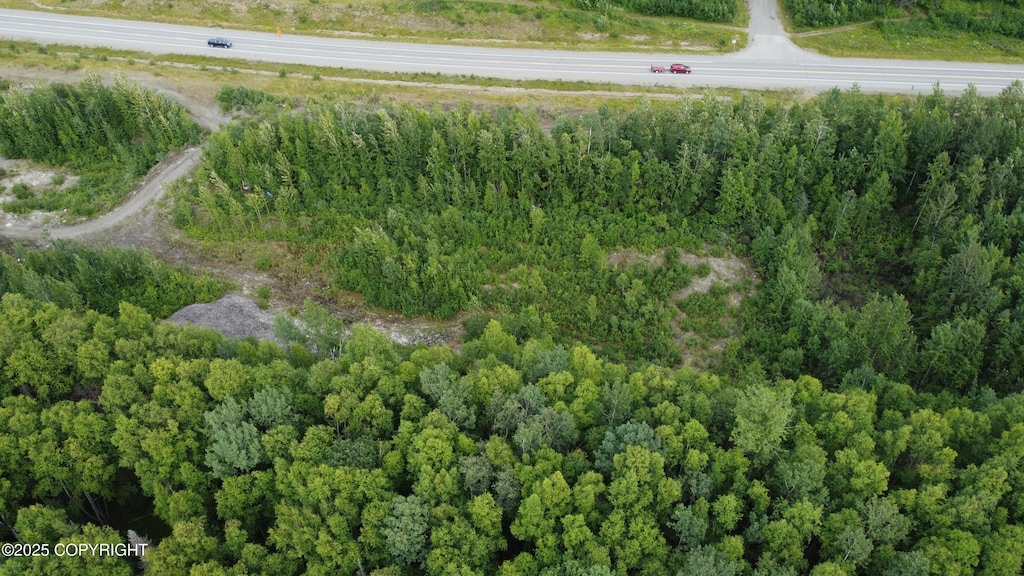 50460 S Parks Hwy, Talkeetna, AK 99676 - photo 2