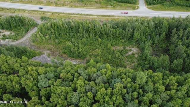 50460 S Parks Hwy, Talkeetna, AK 99676 - photo 2