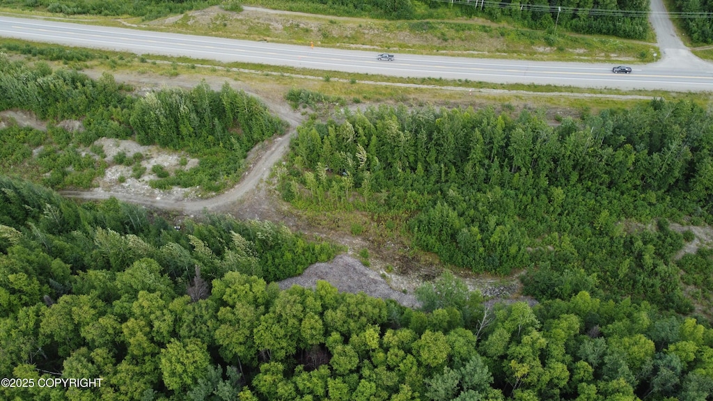 50460 S Parks Hwy, Talkeetna, AK 99676 - photo 1