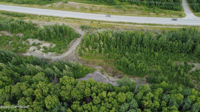50460 S Parks Hwy, Talkeetna, AK 99676 - photo 1