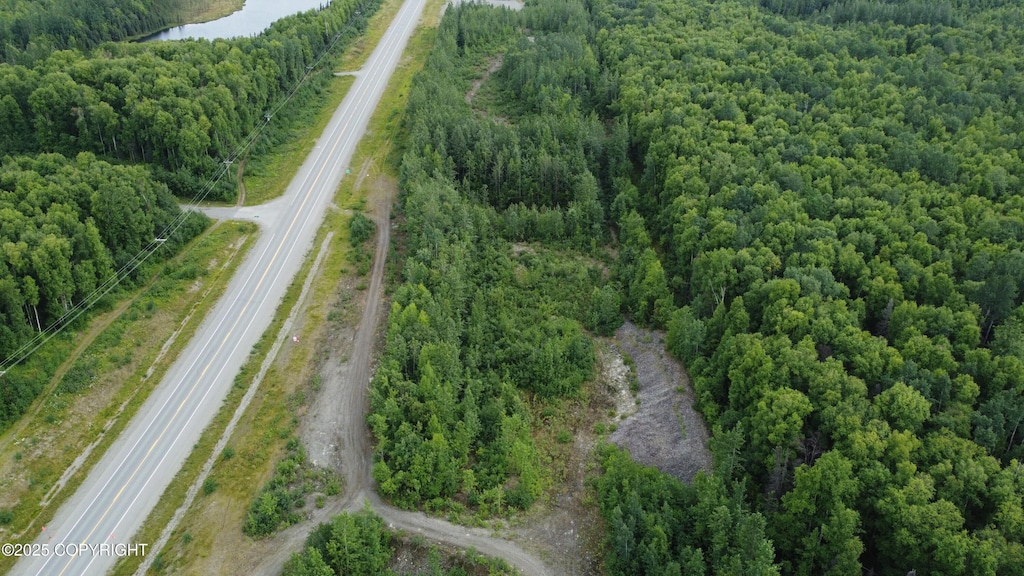 50460 S Parks Hwy, Talkeetna, AK 99676 - photo 3